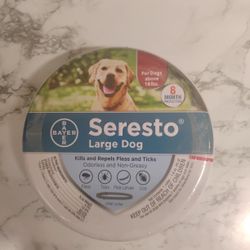 Summer Time Dog Collars