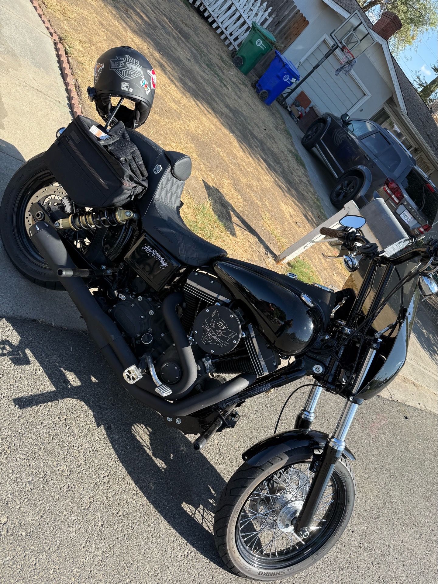 2015 dyna street bob