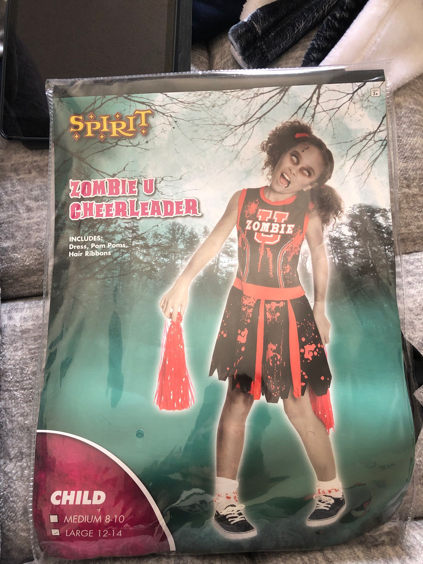 Costume size 10-12 girls.
