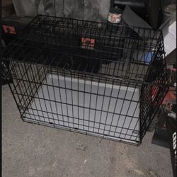 Dog Kennel 