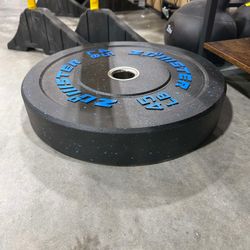 Zoomster 45LB Bumper Plate Olympic Weight Plate (1pc)