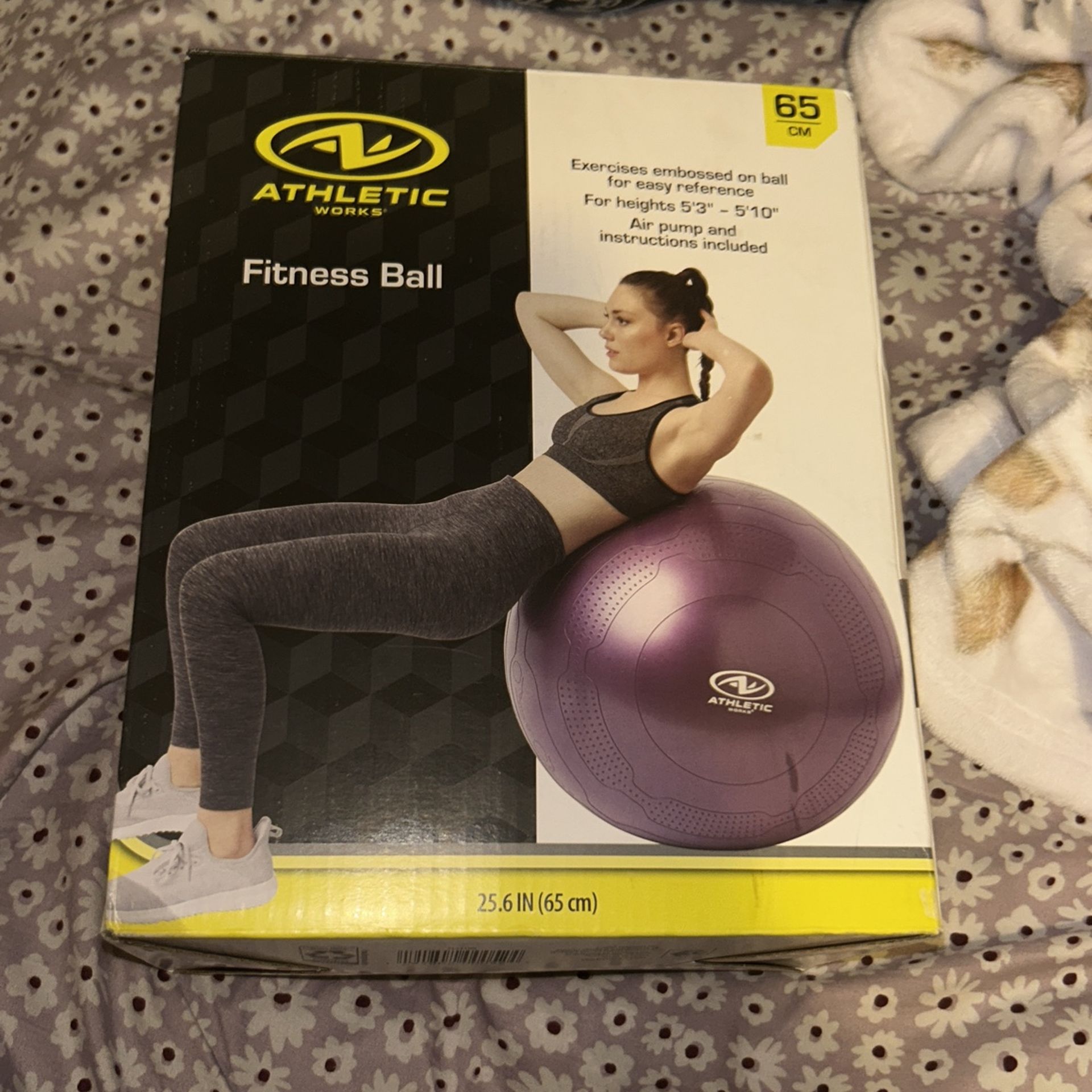 purple fitness ball