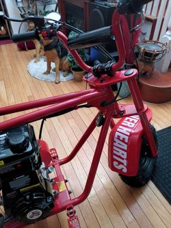 Mini bike