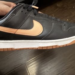 Size 11 Nike Dunks 
