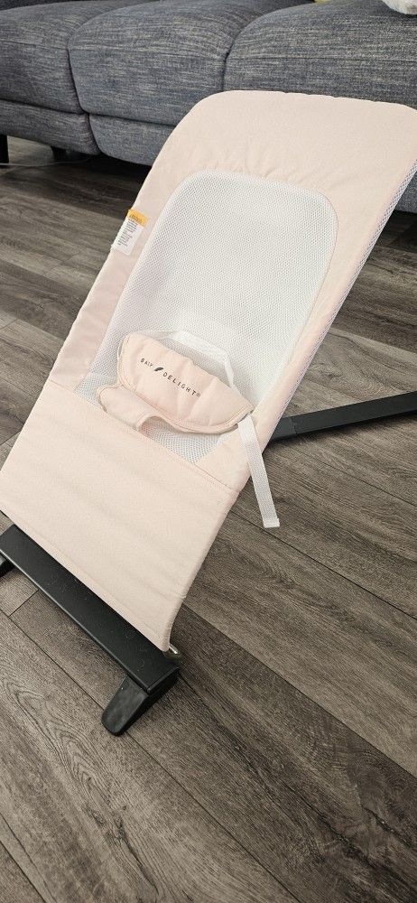 Baby Delight Bouncer