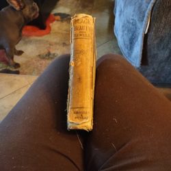 1904 Edition Of Black Beauty..Rare Antique