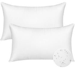 2 Pack Lumbar Throw Pillow Inserts $12