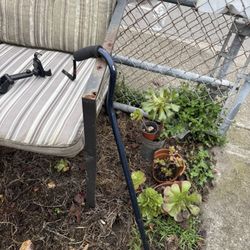 Free Stuff- Large Dog Crate, Outdoor Dining Chairs, 