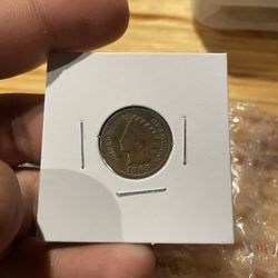 Shinny Indian Pennys