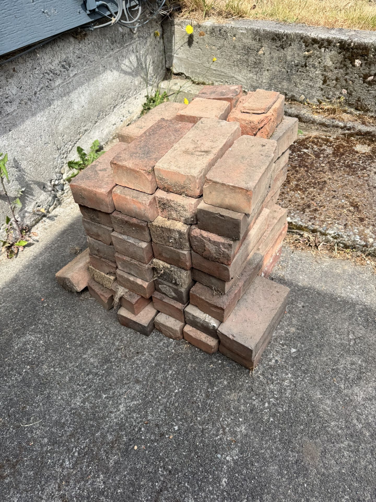 Free Bricks