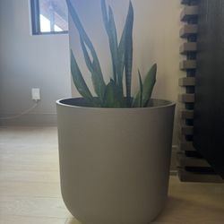 Grey Planter