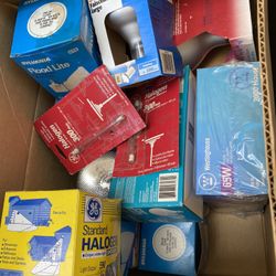 Bulbs of different sizes