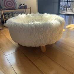 Cat Bed