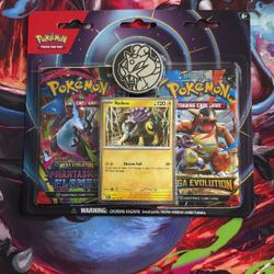 Pokemon Cards - Raikou & 2 Packs 
