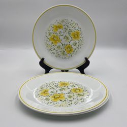 Corelle by Corning April Dinner Plates (Set of 2)