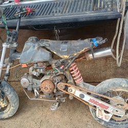 Pit Bike