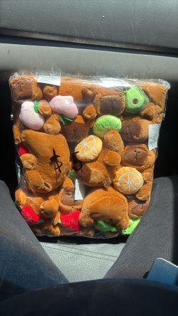 Capybara Plushie Keychain