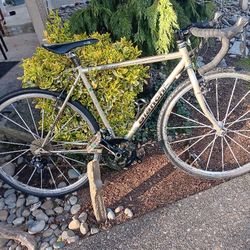 Bianchi Volpe Build for a few days for $150  Frame Size 53 Cm