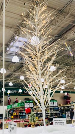 Christmas outdoor white tree