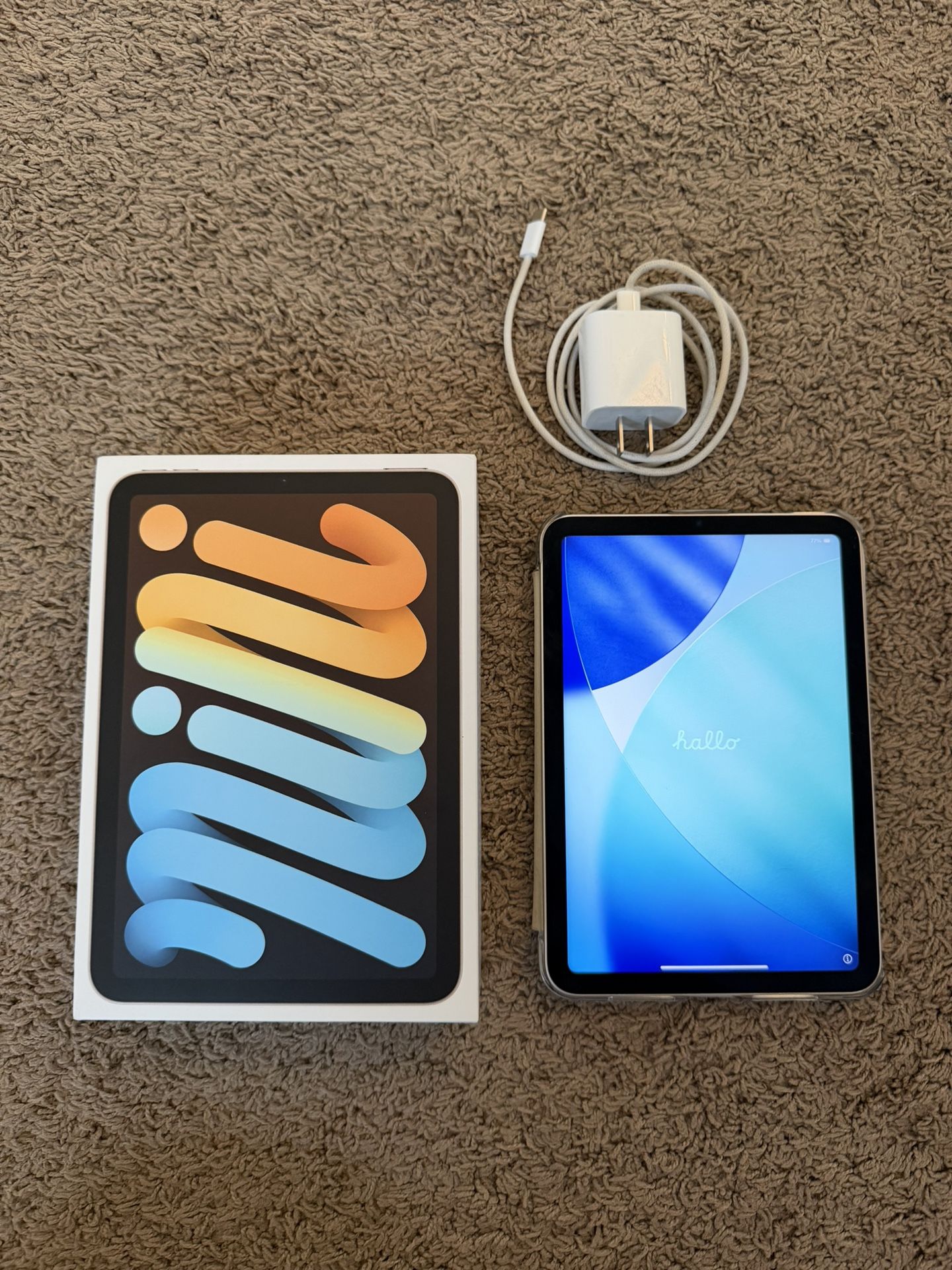 iPad Mini 6 Starlight