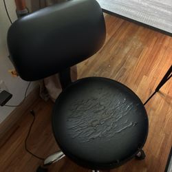 Free Salon Chair 