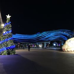 🦈🎄 X13 SEAWORLD SAN DIEGO CHRISTMAS ADVENTURE 🎅🤶