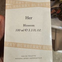 Perfume Burberry 