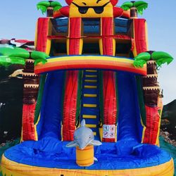Waterslide For Sale