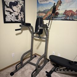 XMark Commercial Vertical Knee Raise