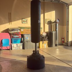 Punching Bag (Very Stable, Barely Used)