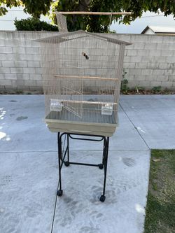 Birds Cage