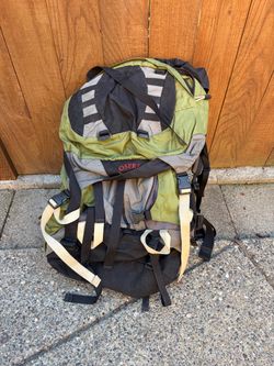Osprey 85 L backpacking bag.