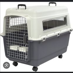 Dog Cage 