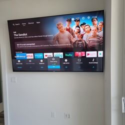 Professional TV Wall Mount