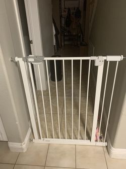 dog cage