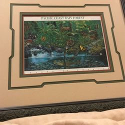 Pacific coast rain forest nature of America US stamps