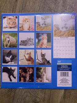 Calendars 2024-2025 Variety 12 Pieces 