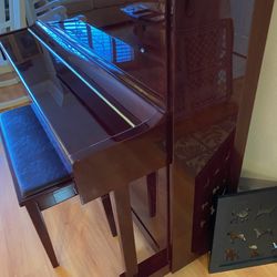 Pearl River Piano Professional Upright Piano