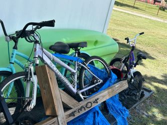2 adult bikes