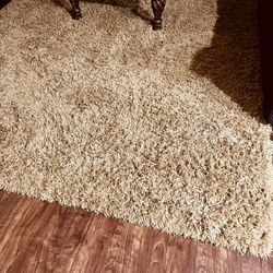 Shag Rug 8x10 