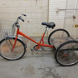 Worksman Industrial Tricycle 