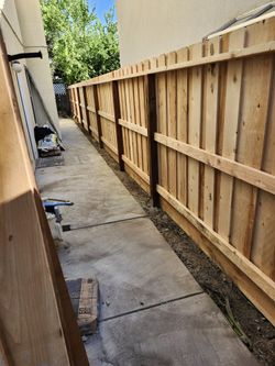 Fence And Gates