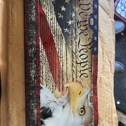 Constitution License Plate