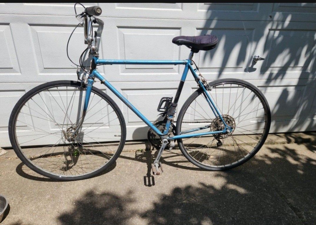 Vintage Raleigh Super Record Men's Bike