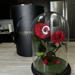 Forever Roses From Dubai