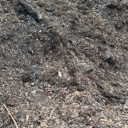 Free compost mulch