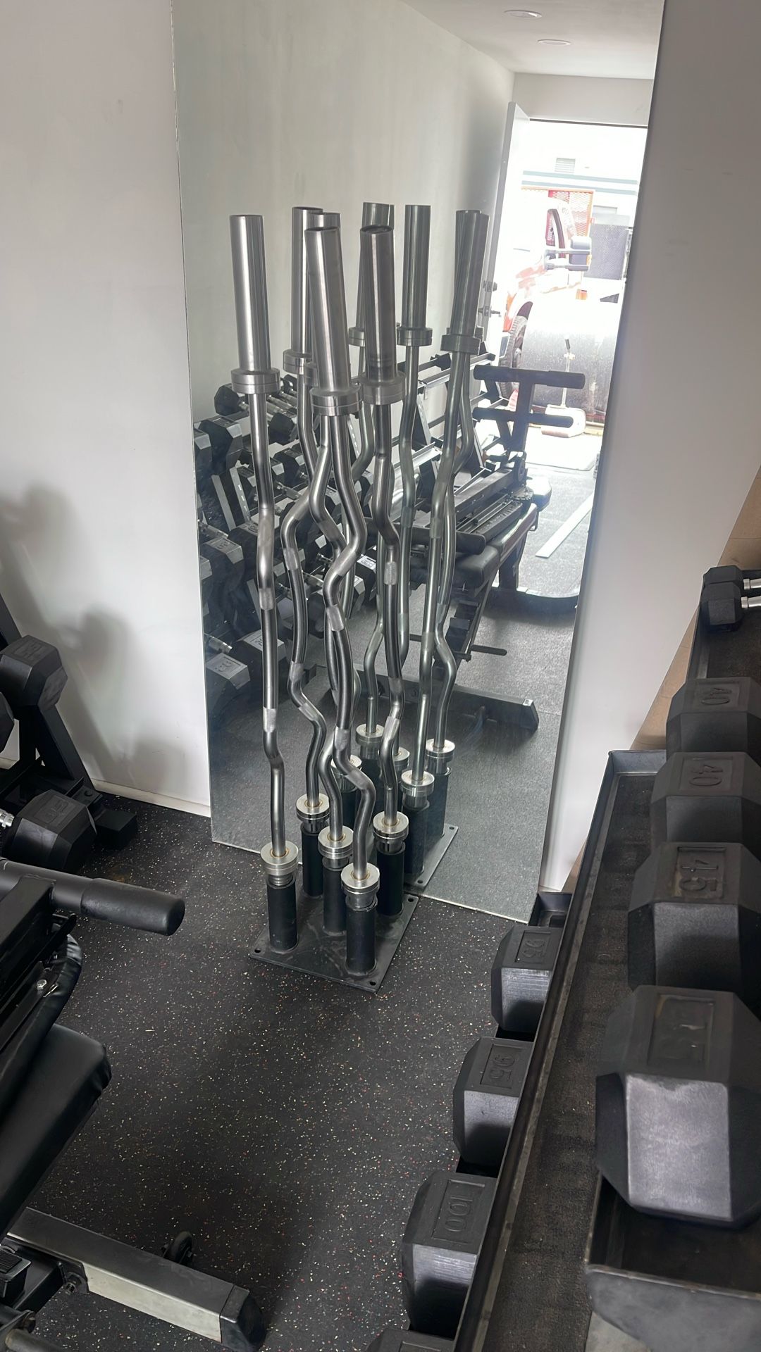 Olympic Ez Curl Bars