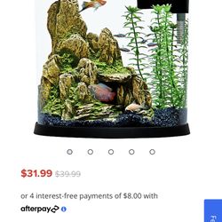 3.5 Gallon Aquarium