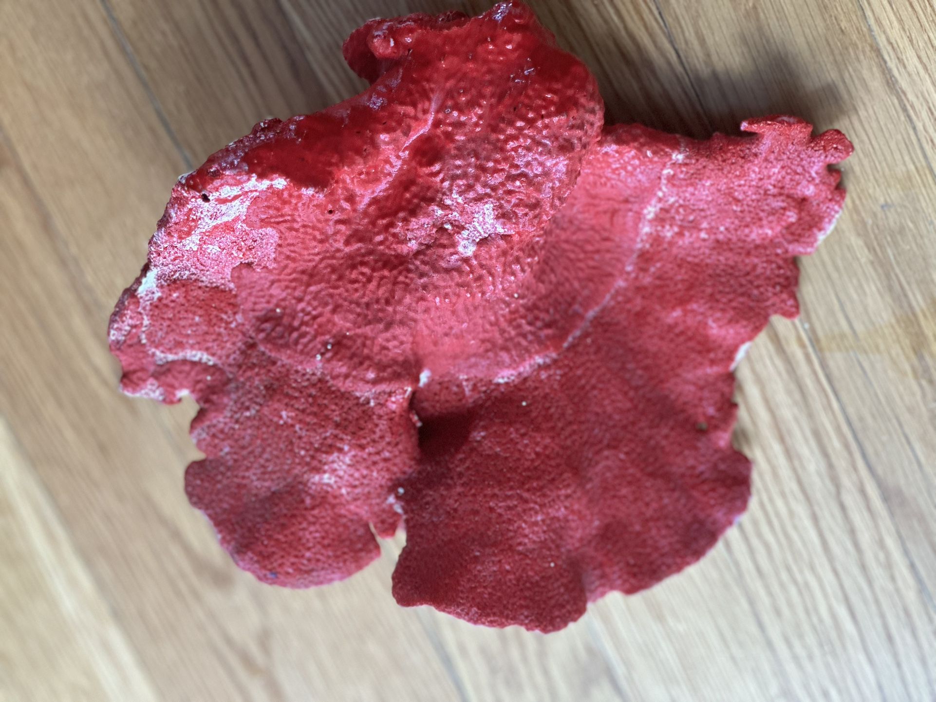 Large Red Coral For Fish Tank