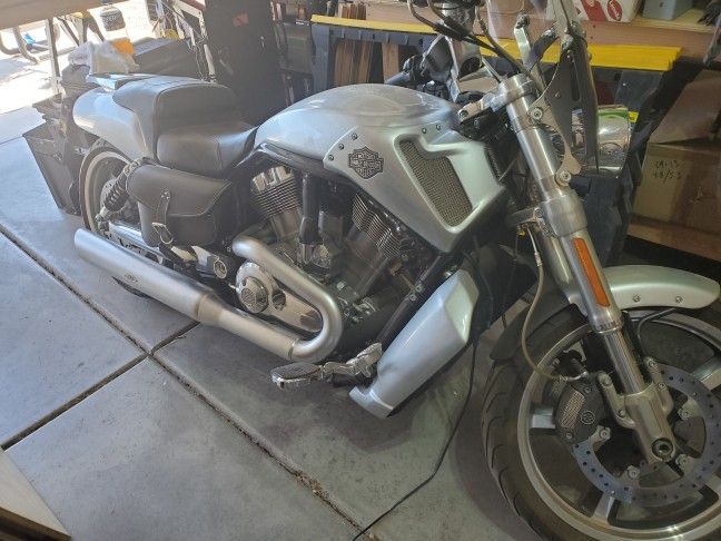 2009 Harley V-Rod Muscle